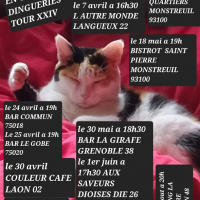 Capture d ecran 2024 04 09 163500